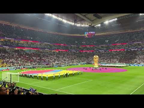 哈里,阿马斯,岁生日之际,JinNianHui,金年会,金年会体育入口,金年会官网,金年会体育APP下载